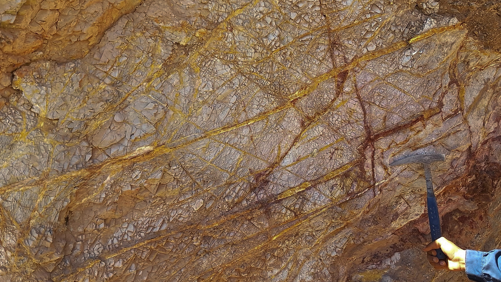 Cuex Homepage Hero 2025